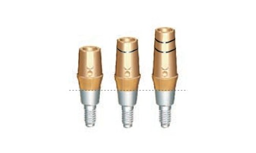 Solid Abutment(II)